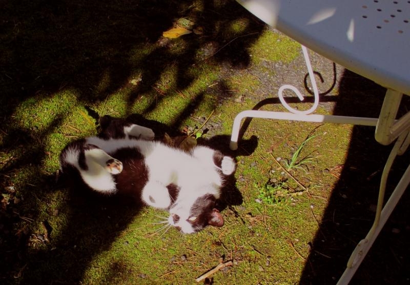 Les bains de soleil peuvent reprendre, la température est agréable.