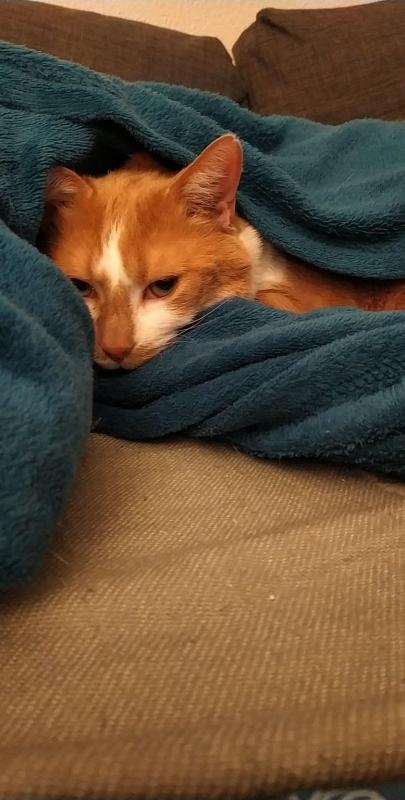 Ne cherchez pas la logique chez Gustave (il faisait pas loin de 30°C dehors)...