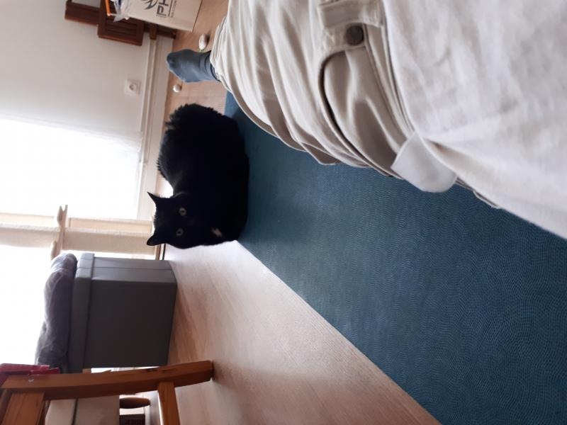 Olala c'est ramollo tout ça maman y a du boulot!