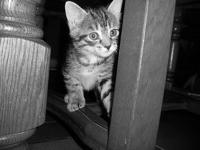 Une photo que j’ai retrouvée d’elle petite !