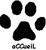 Site sur les chats Site chats