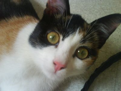 Un regard intense!

