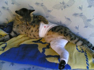 08092006.jpg