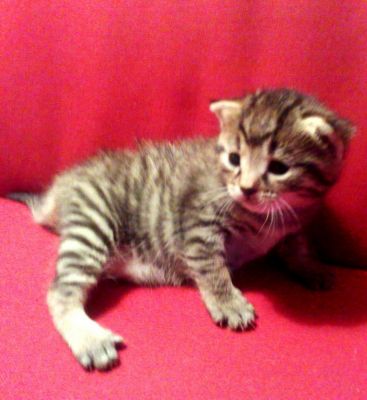 110420111728-001.jpg