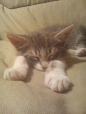 Ghost
En pleine sieste, chuut.
