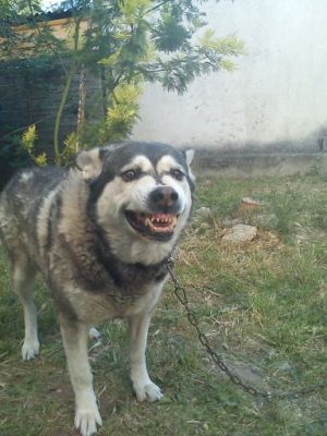 Loulou
On fait un joli sourire ? CHEEEASE !
