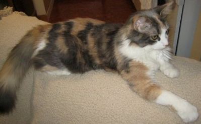 BELLA~0.jpg