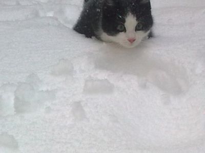 Bébé
Première neige, premier hiver, premier flocon.
