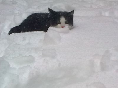 Bébé
Première neige, premier hiver, premier flocon.
