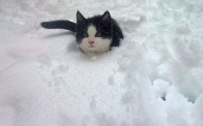 Bébé
Première neige, premier hiver, premier flocon.
