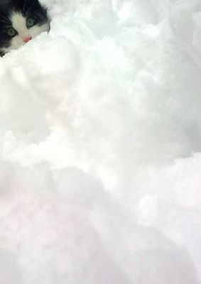 Bébé
Première neige, premier hiver, premier flocon.
