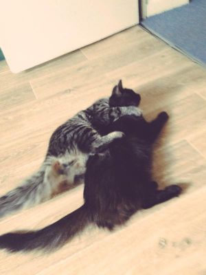 Nini et Topdeck
