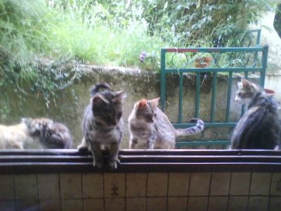 Les copains du coin

