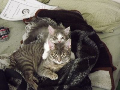 Nyx et Kuro
