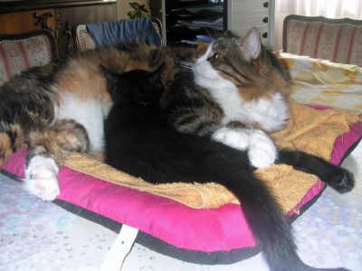 Léo et Mocka
premiers gros mamours
