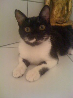 Ma ptite Yumi ^^
