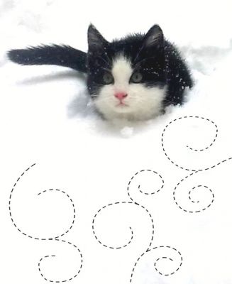 Bébé
Première neige, premier hiver, premier flocon.
