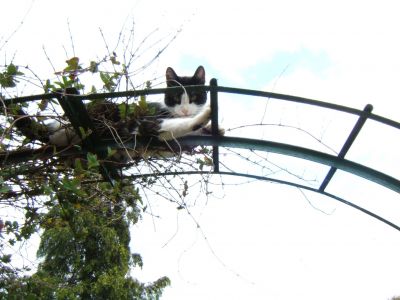 Moustic
coucher sur mon mirador
