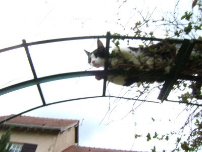 Moustic
Du haut de mon mirador

