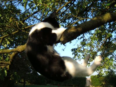 bagot_fevrier_07_015.jpg