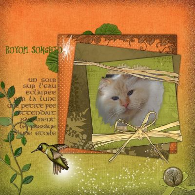 Cana'Bis Du Rôyôm Sônghiô
Red Silver Tabby point
Mots-clés: bisounours