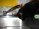 Nom du fichier=IMG_0049.JPG
Taille du fichier=93Ko
Dimensions : 1024x768
Ajouté le : 28 Mars 2017 IMG_0049.JPG