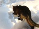 Nom du fichier=IMG_0156.JPG
Taille du fichier=78Ko
Dimensions : 1024x768
Ajouté le : 01 Avril 2017 IMG_0156.JPG