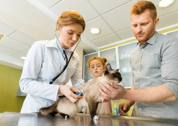 Diagnostic PIF Péritonite infectieuse féline