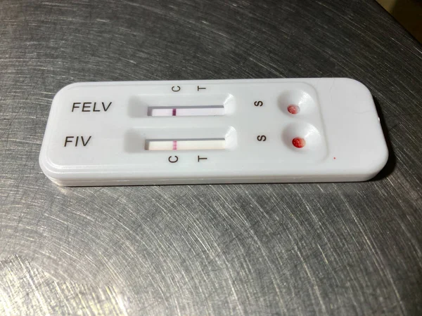 Détection FeLV