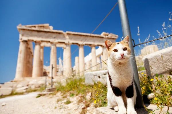 Le chat dans la Grèce antique