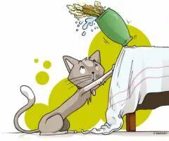 Les chats et les accidents domestiques